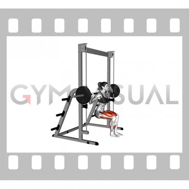 Smith Single Leg Chair Squat (female)