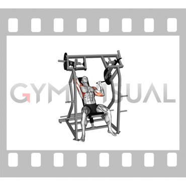 Lever Single Arm Shoulder Press (plate loaded) (VERSION 2)