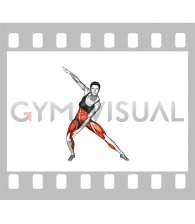 Half Side Split Lunge Twisting Inner Thigh Tap (female)