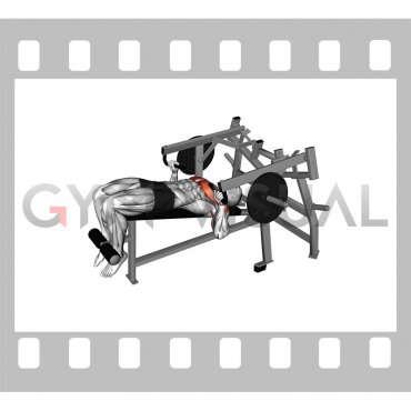 Lever Lying Decline Chest Press (plate loaded)