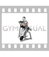 Lever Seated Triceps Extension (plate loaded) (male)