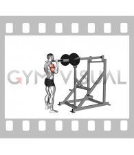 Lever Standing Viking Press (male)