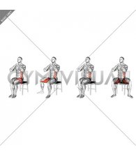 Sitting Alternate Abduction Twist on a Chair (male)