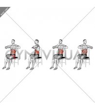 Sitting Russian Twist on a Chair (male)