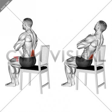 Seated Lean Back on a Chair (male)