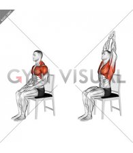 Seated Overhead Stretch on a Chair (male)