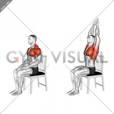 Seated Overhead Stretch on a Chair (male)