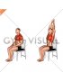 Seated Overhead Stretch on a Chair (male)