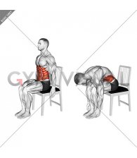 Seated Forward Bend Stretch on a Chair (male)