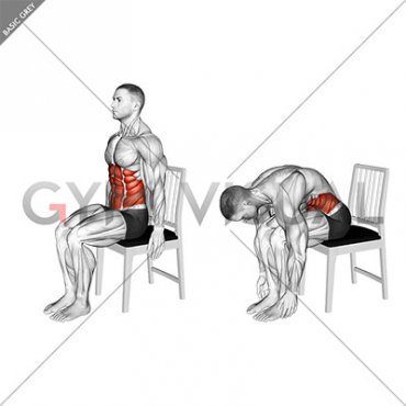Seated Forward Bend Stretch on a Chair (male)