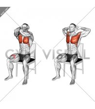 Seated Elbow Chest Fly on a Chair (male)