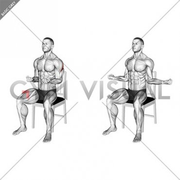 Seated External Rotation on a Chair (male)