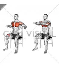 Seated Chest Press on a Chair (male)