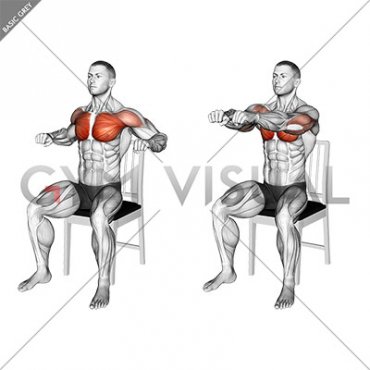 Seated Chest Press on a Chair (male)