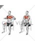 Seated Decline Chest Press on a Chair (male)