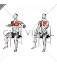 Seated Decline Chest Press on a Chair (male)