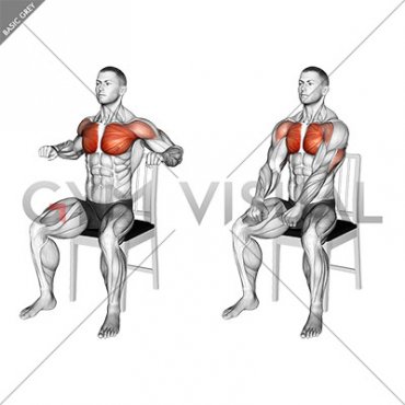 Seated Decline Chest Press on a Chair (male)