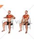 Seated Decline Chest Press on a Chair (male)