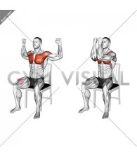 Seated Pec Dec on a Chair (male)