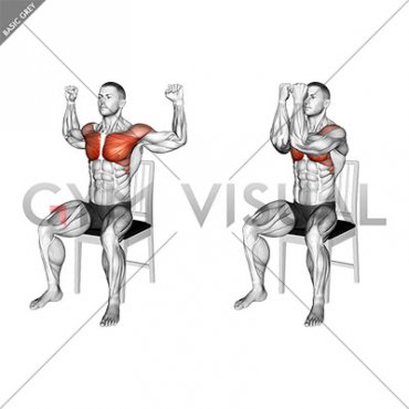 Seated Pec Dec on a Chair male