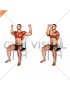 Seated Pec Dec on a Chair (male)