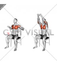 Seated Incline Chest Press on a Chair (male)