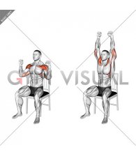 Seated Shoulder Press on a Chair (male)