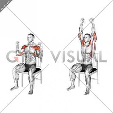 Seated Shoulder Press on a Chair (male)