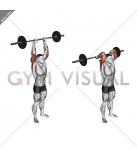 Barbell Standing Overhead Triceps Extension