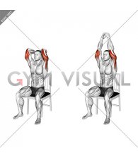 Seated Overhead Triceps Extension on a Chair (male)