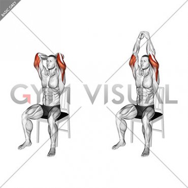 Seated Overhead Triceps Extension on a Chair (male)