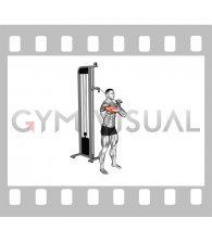 Cable Standing Single Arm Horizontal Triceps Extension (male)