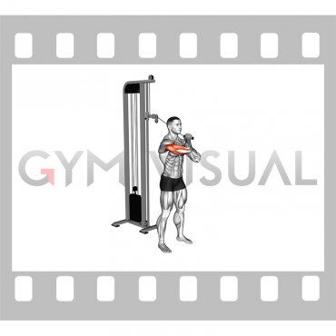 Cable Standing Single Arm Horizontal Triceps Extension (male)