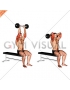 Olympic Barbell Triceps Extension