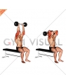 Olympic Barbell Triceps Extension