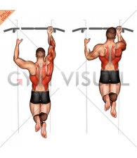 One Arm Chin-Up