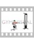 Cable Half Kneeling External Rotation Press (male)