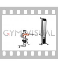 Cable Half Kneeling External Rotation Press (male)