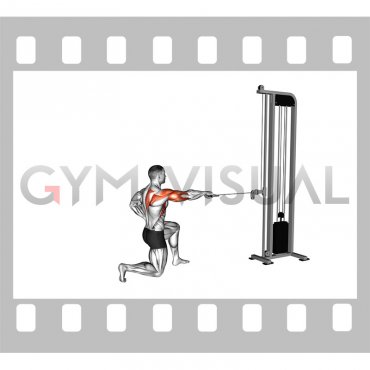 Cable Half Kneeling External Rotation Press (male)