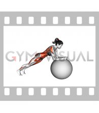 Stability Ball Rollout (female)