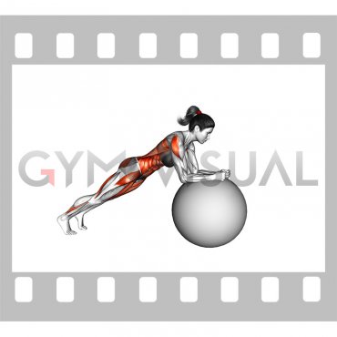 Stability Ball Rollout (female)