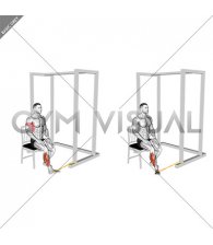 Resistance Band Seated Eversion Foot (male)