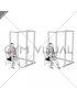 Resistance Band Seated Inversion Foot (male)