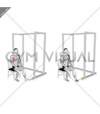 Resistance Band Seated Inversion Foot (male)