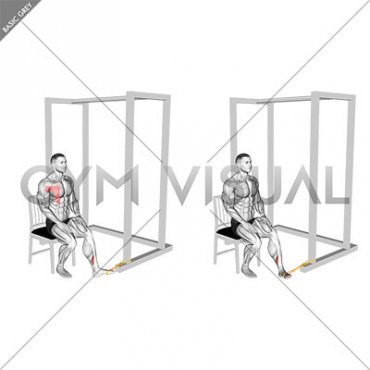 Resistance Band Seated Inversion Foot (male)