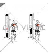 Cable Standing Single Arm Horizontal Triceps Extension (male)