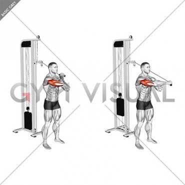 Cable Standing Single Arm Horizontal Triceps Extension (male)