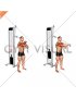 Cable Standing Single Arm Horizontal Triceps Extension (male)