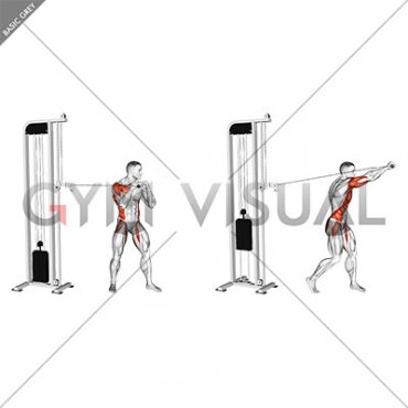 Cable Standing Jab (male)