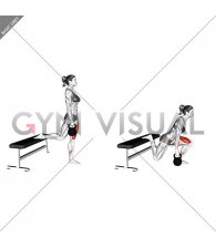 Kettlebell Split Squat (female)